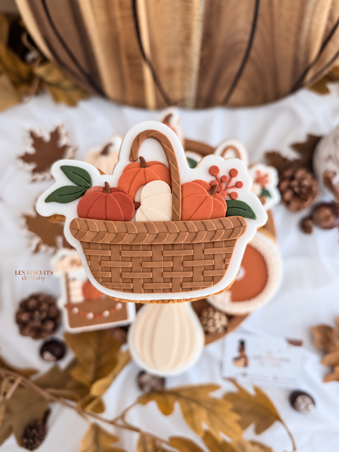 Collection "Ballade Automne"