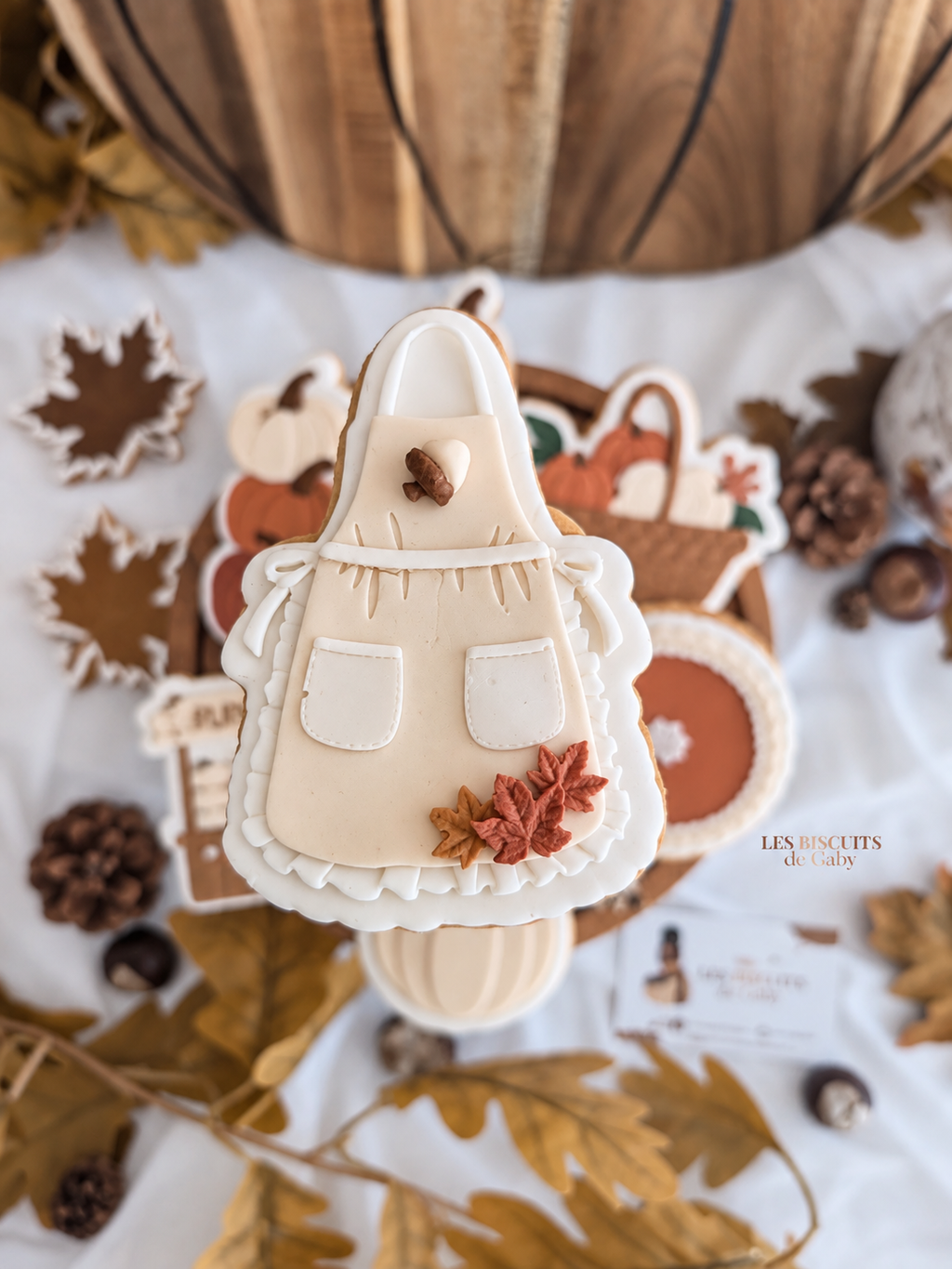 Collection "Ballade Automne"