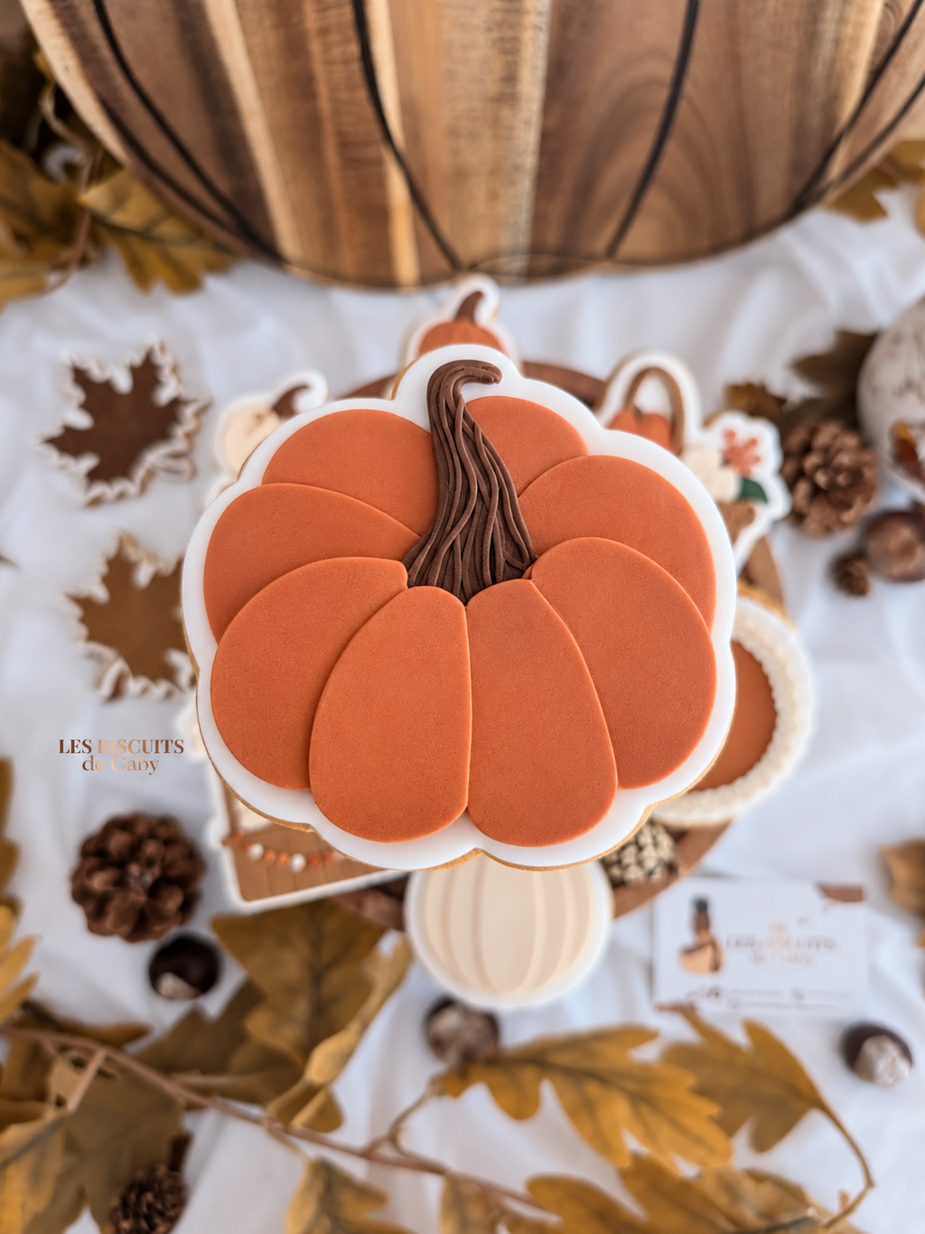 Collection "Ballade Automne"