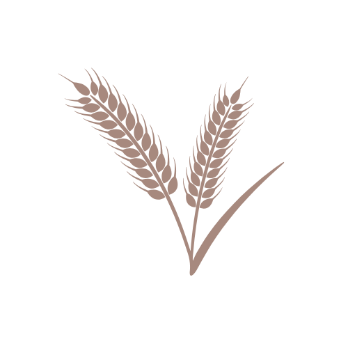 ton ebook ready (13)