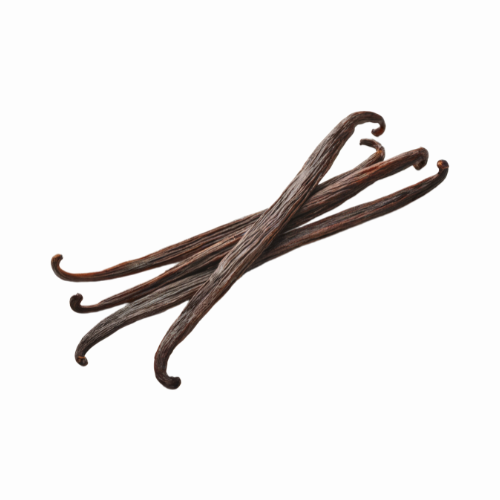 ton ebook ready (18)