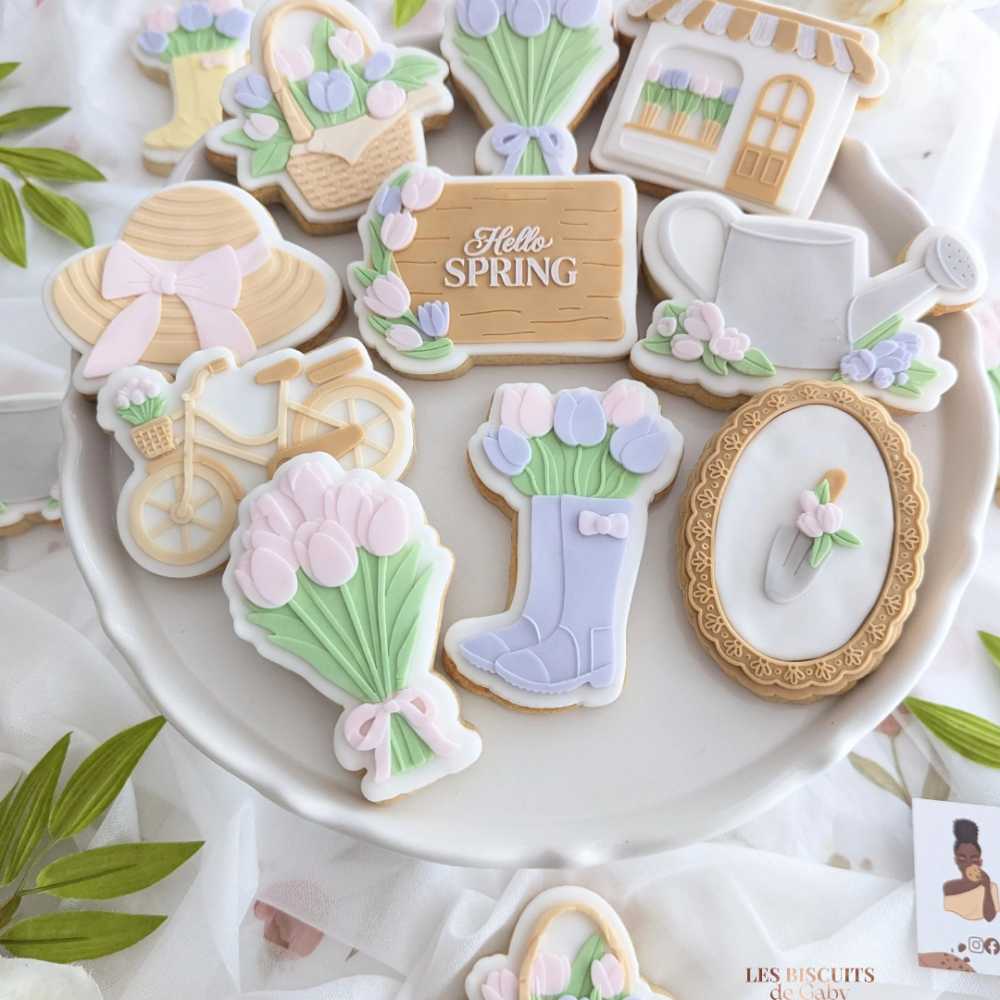 collection "jardin secret" copier