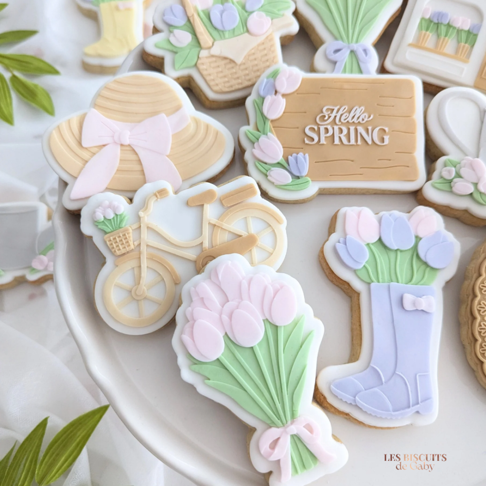 collection "jardin secret" copier