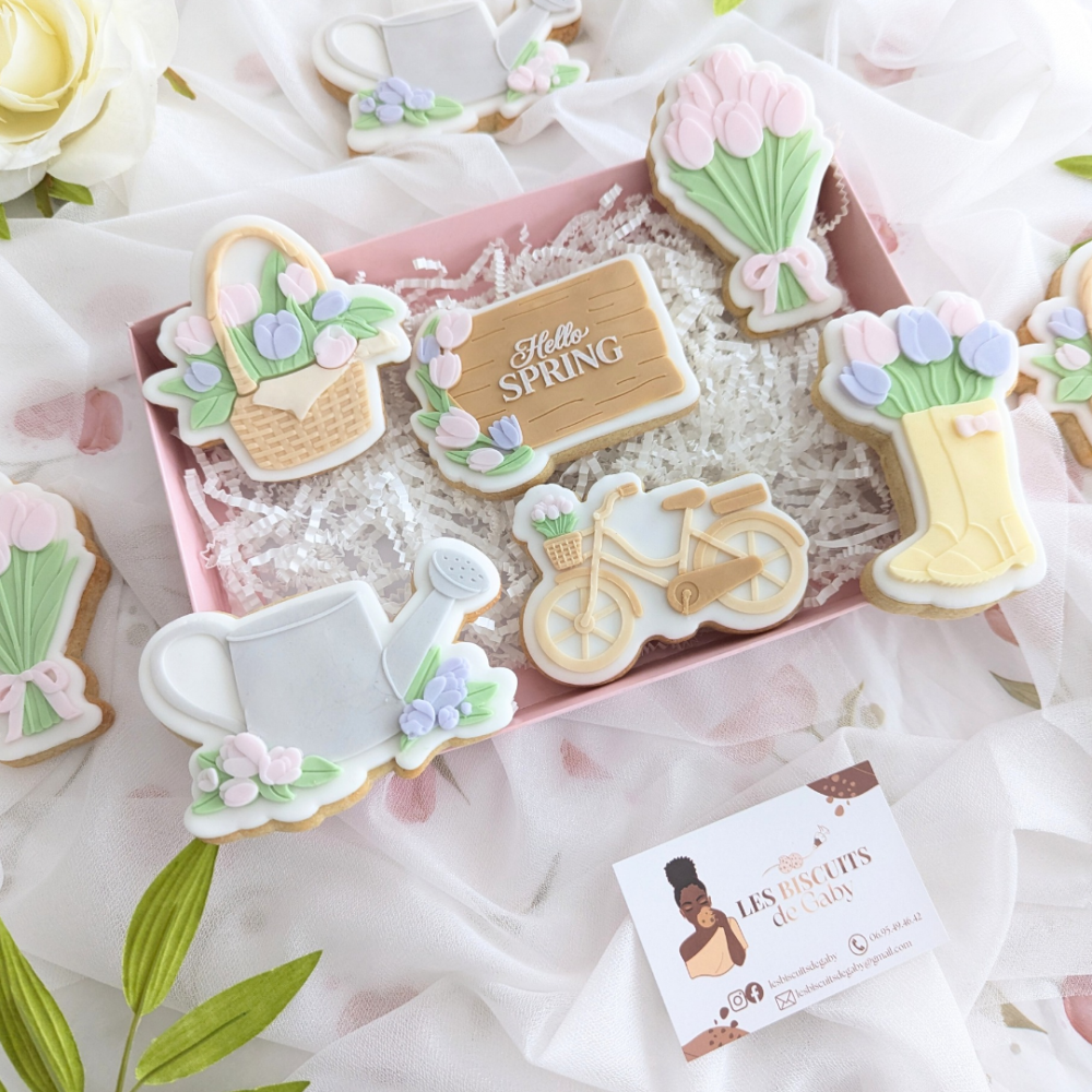 coffret "jardin secret" copier